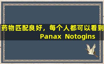 药物匹配良好，每个人都可以看到Panax  Notoginseng